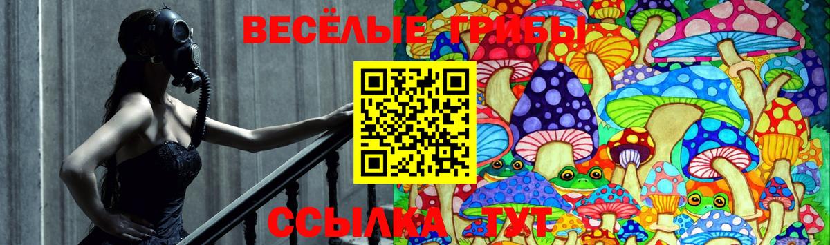 Чистополь  Галлюциногенные грибы ЛСД  Вход с VPN  купить наркоту  Псилоцибиновые грибы Psilocybe 
